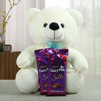 Teddy Silky Combo
